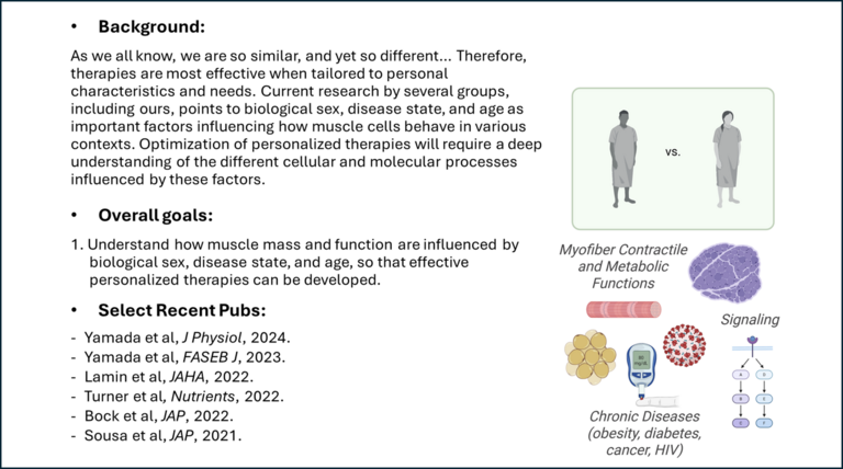Diagram denoting the projects on personalized therapies to preserve muscle function